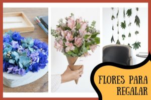 flores para regalar